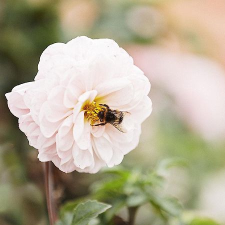 Gasthaus Hummel Duggendorf Zewnętrze zdjęcie