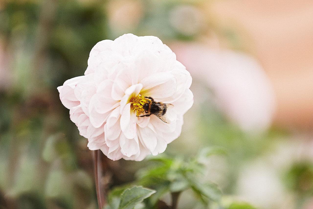 Gasthaus Hummel Duggendorf Zewnętrze zdjęcie